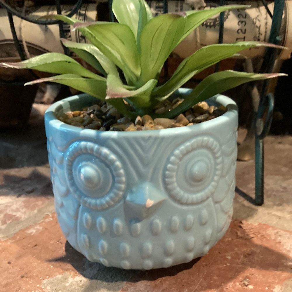 💖Host Pick💖Faux succulent plant & Owl Pot